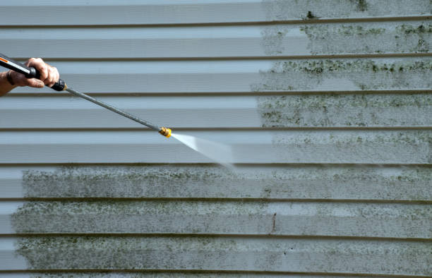 Best Residential Pressure Washing Services  in Brookville, IN